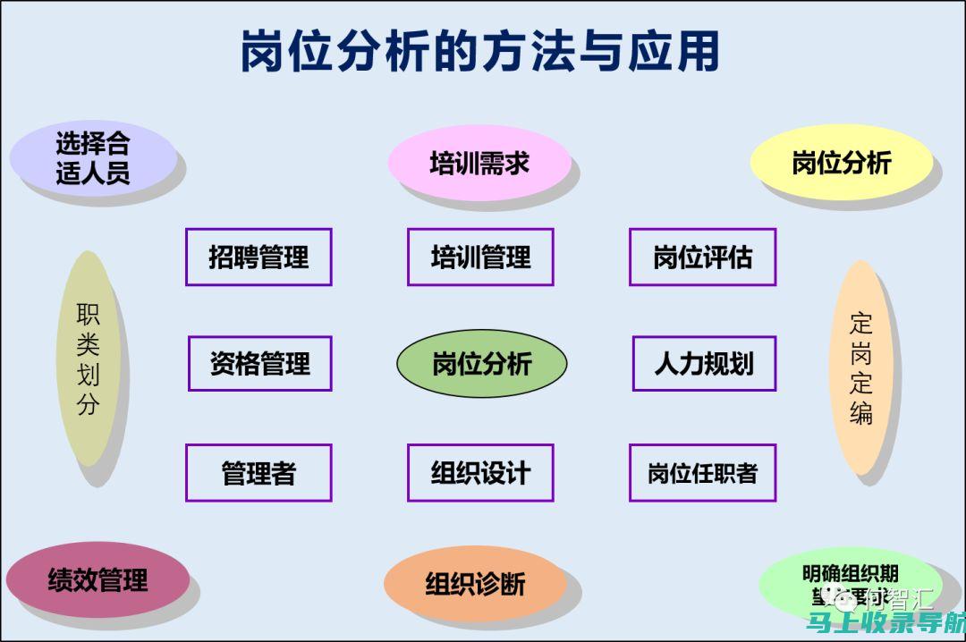 从职务角度看站长角色及其层级定位