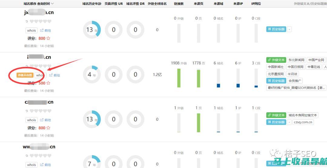 桔子SEO网站查询：打造高效搜索引擎营销的关键